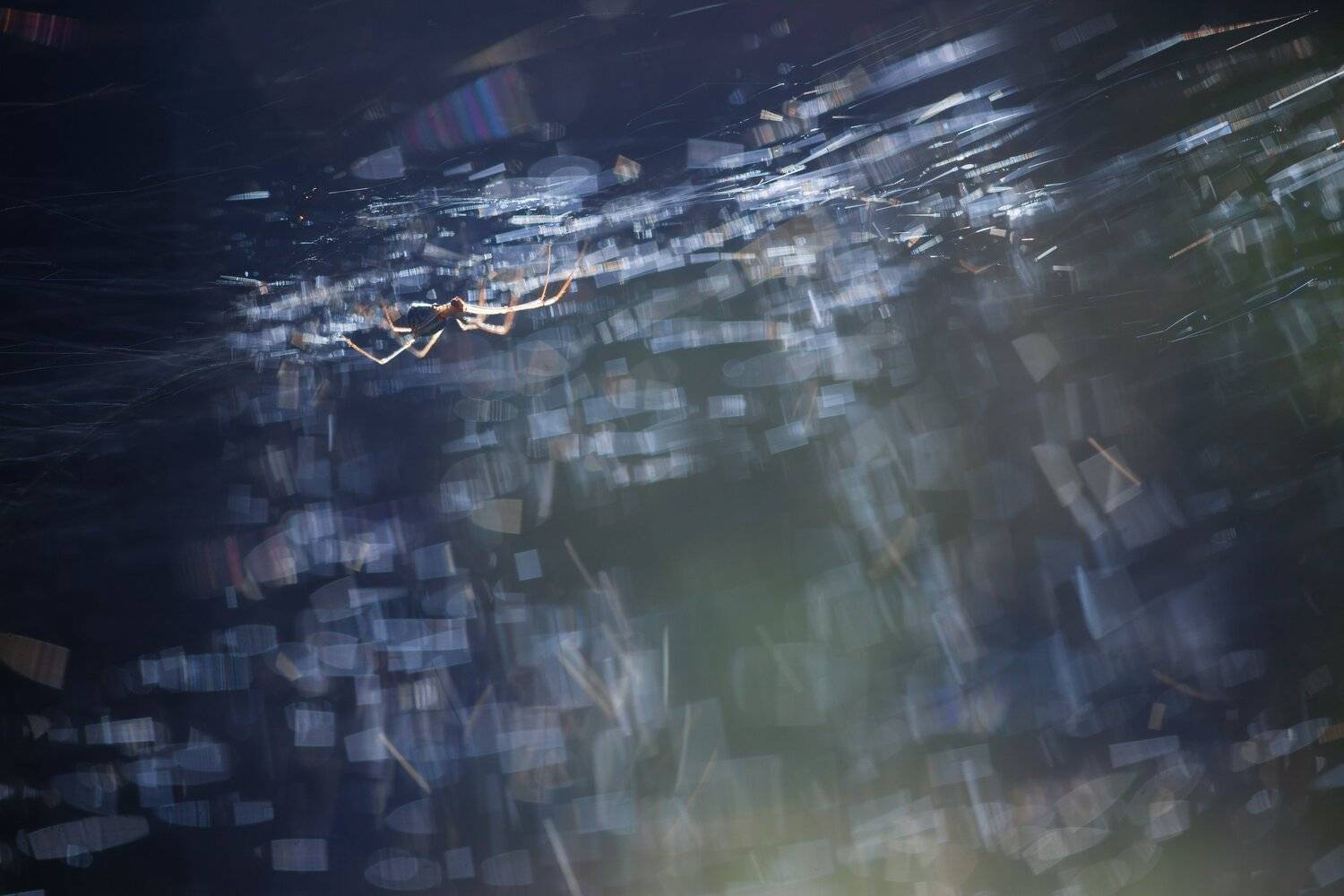 , Викулов Николай