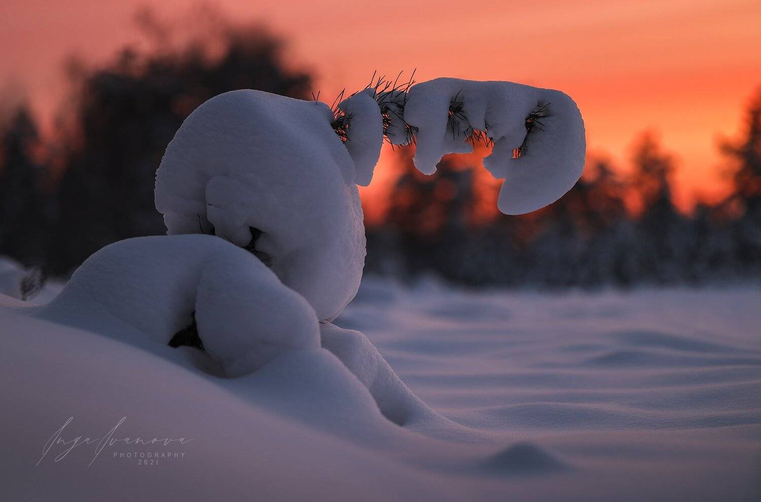 , Инга Иванова