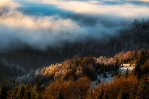 When the fog is near