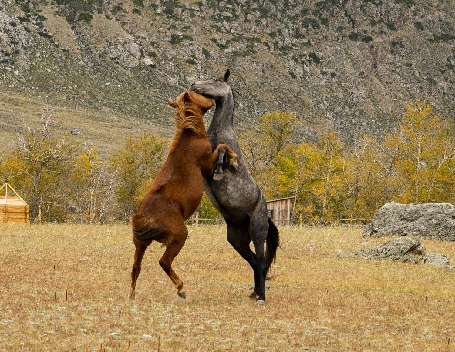 , Ольга Лукахина