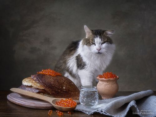 Про кота Лёву и блины с икрой