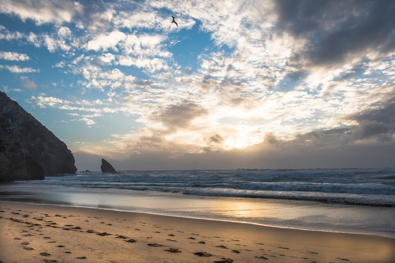 португалия, пляж, океан, следы, песок, атлантический океан, вода, закат На закате фото превью