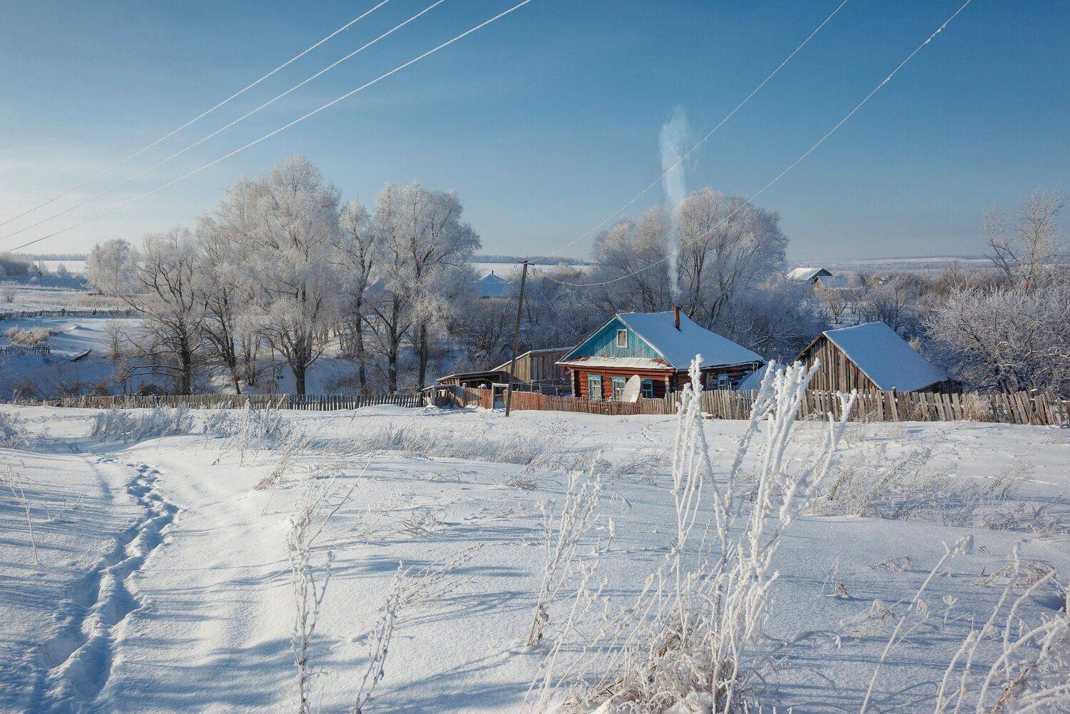 , Алексей Никитин