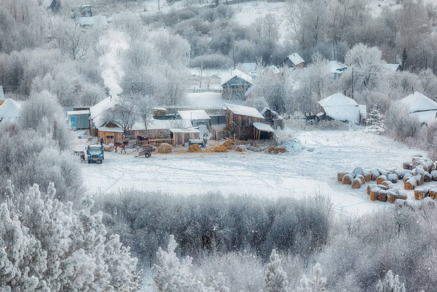 , Алексей Никитин