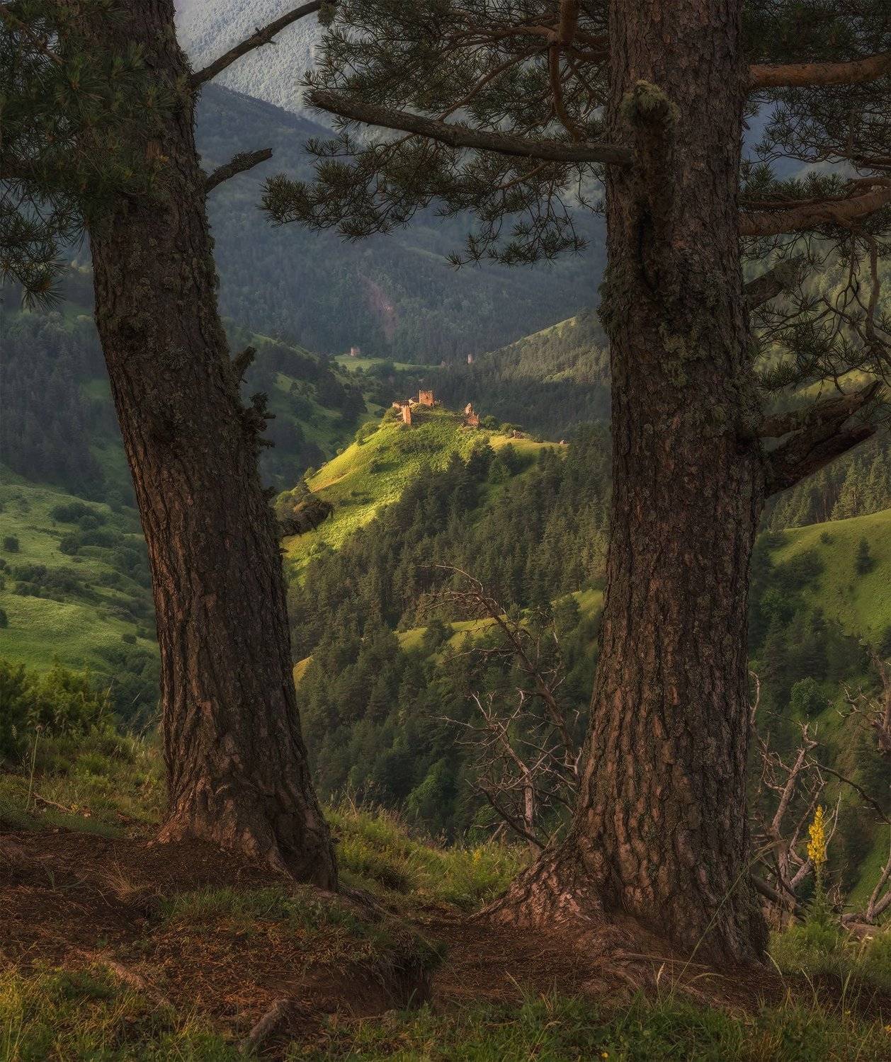 кавказ, ингушетия, заповедник, эрзи, фототур, андрей грачёв, утро, лето, Николай Мысливцев