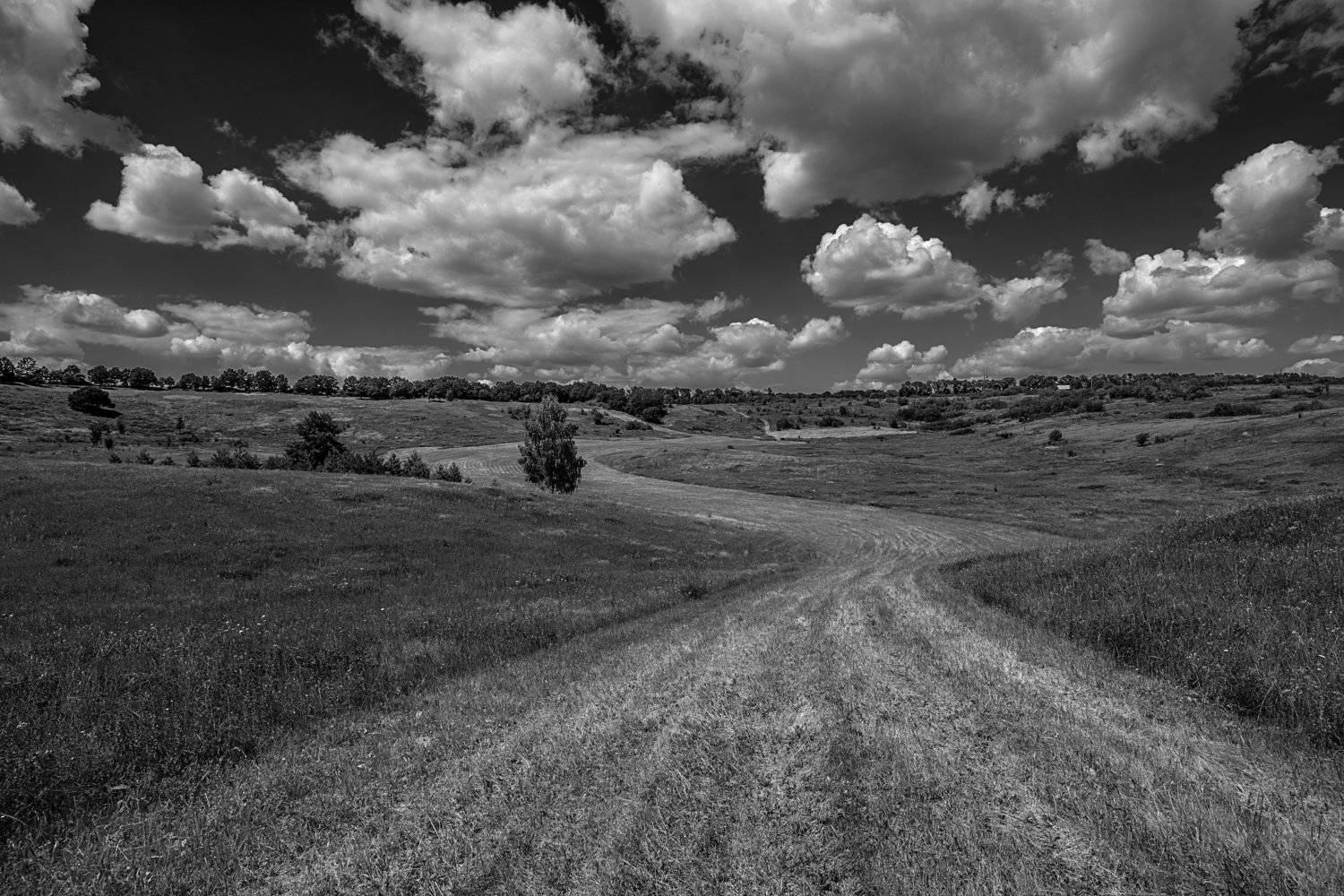 , Чистаев Александр