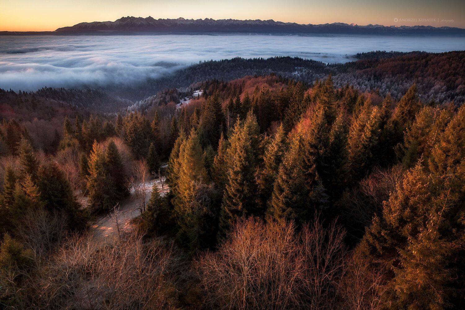 #landscape #fog #sunrise #Poland #gorce, Andrzej Kubatek