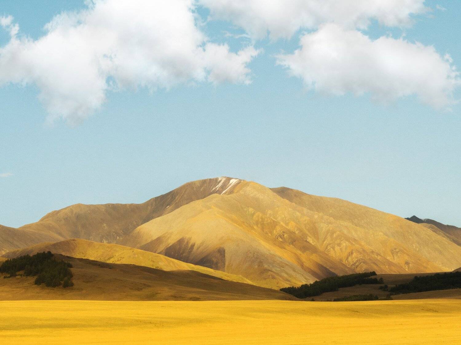 , Ольга Беккер