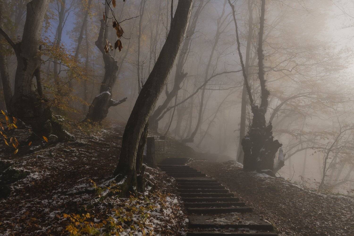 тропа, \, ДМИТРИЙ ПУЗЕНКО