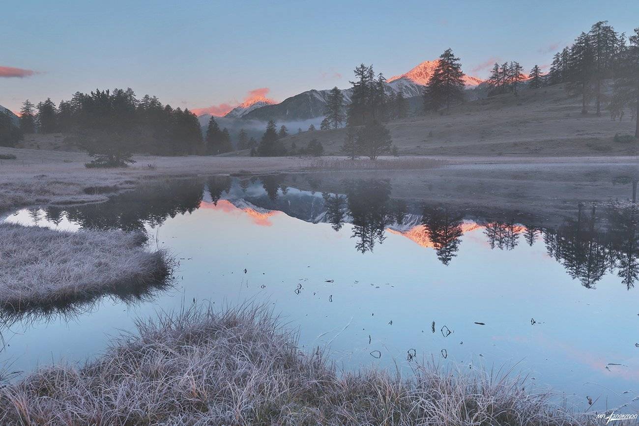 swiss, Матвеев Николай