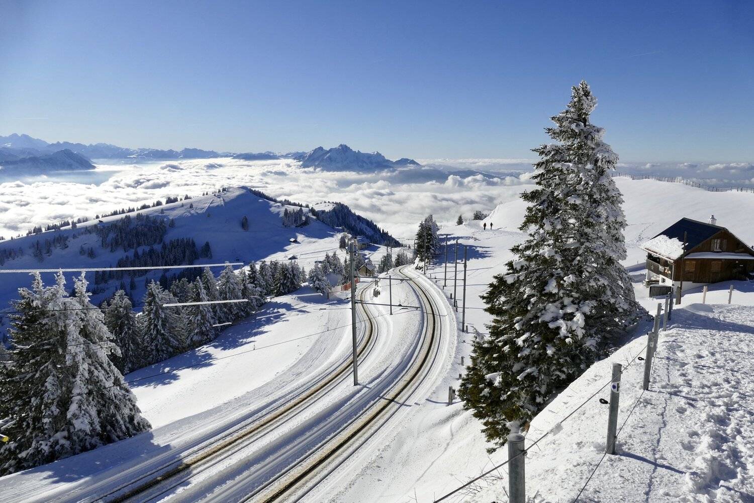landscape, nature, snow, winter, pine, view, travel, sport, ski, clouds, high, mountain, national park, Rigi mountain, Switzerland, cold, house, white,  , Svetlana Povarova Ree