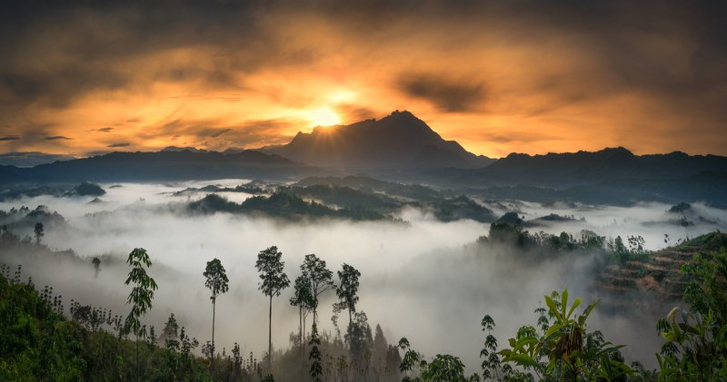 Guakon Sunrise фото превью