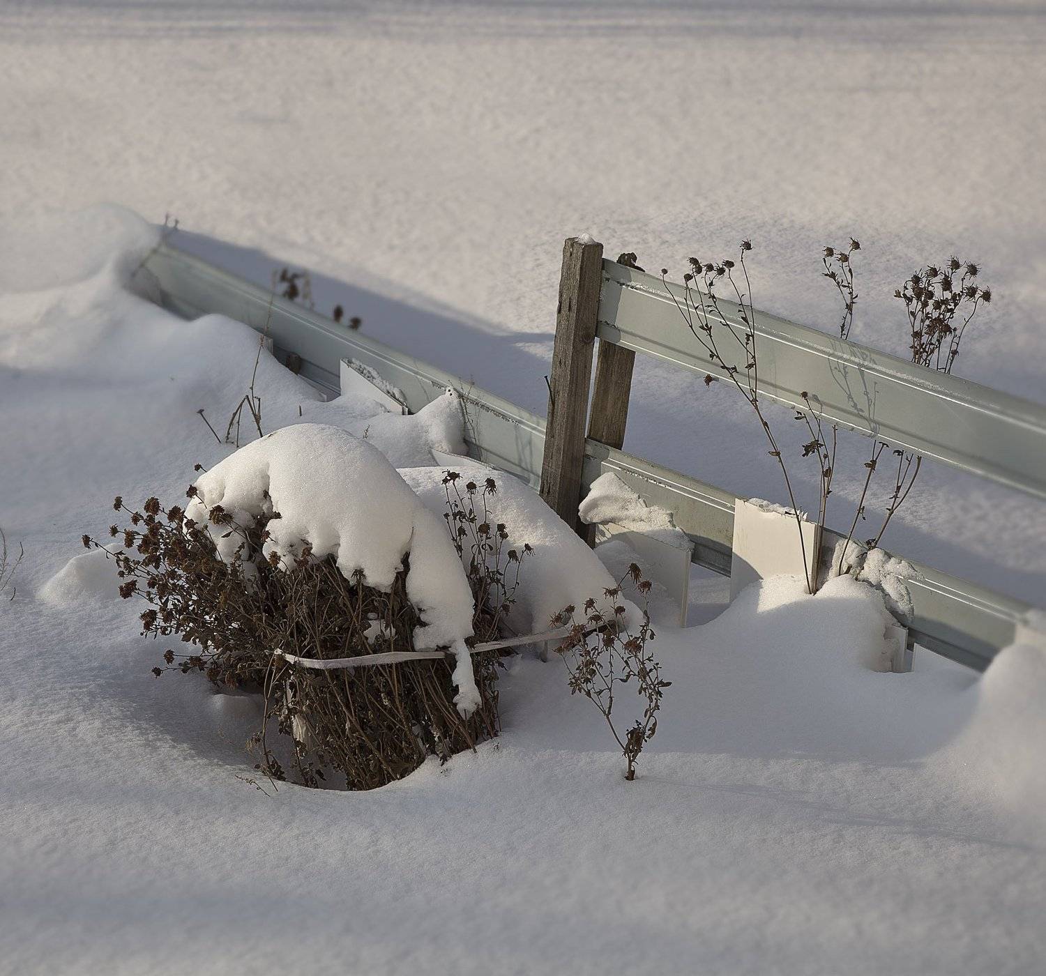 зима, Виктор Кириллов