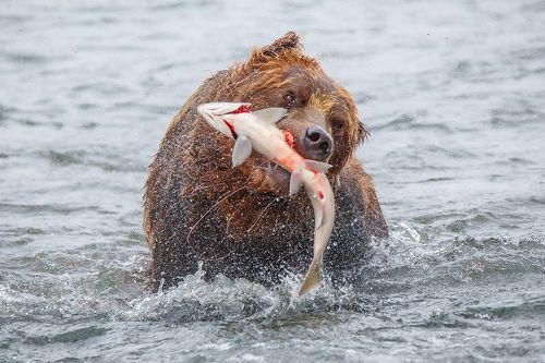 Рыбалка удалась!!!