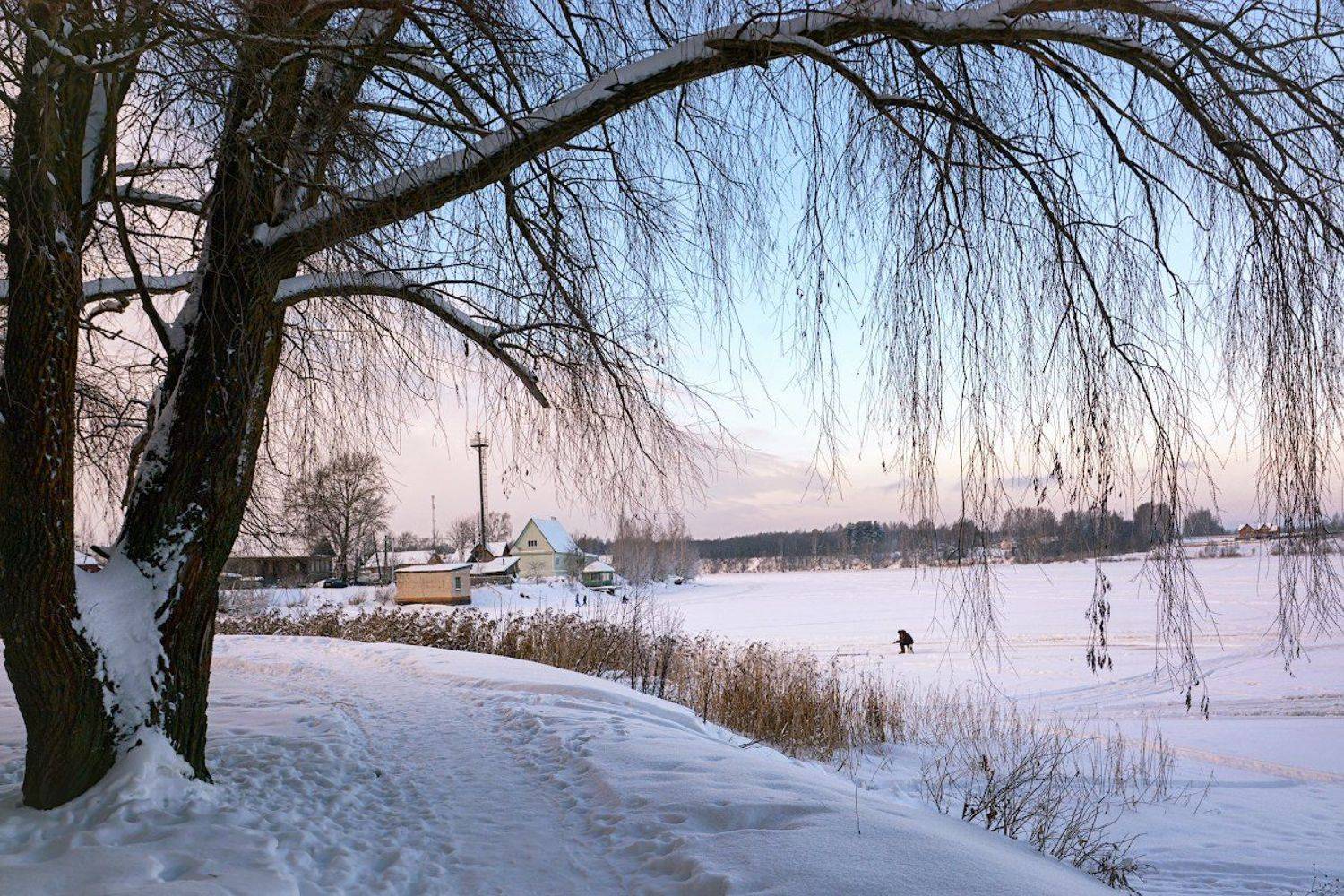 , Марина Никифорова