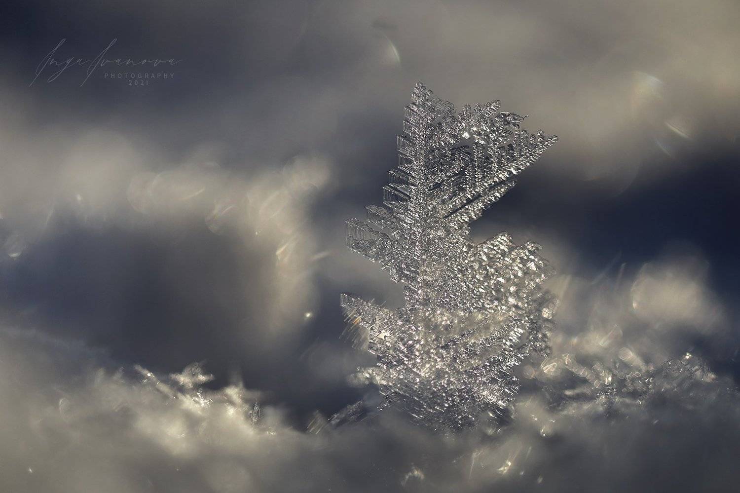 , Инга Иванова