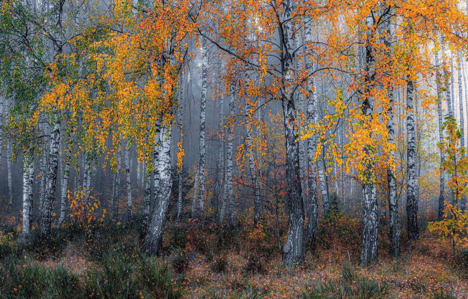 , Руслан Авдевич
