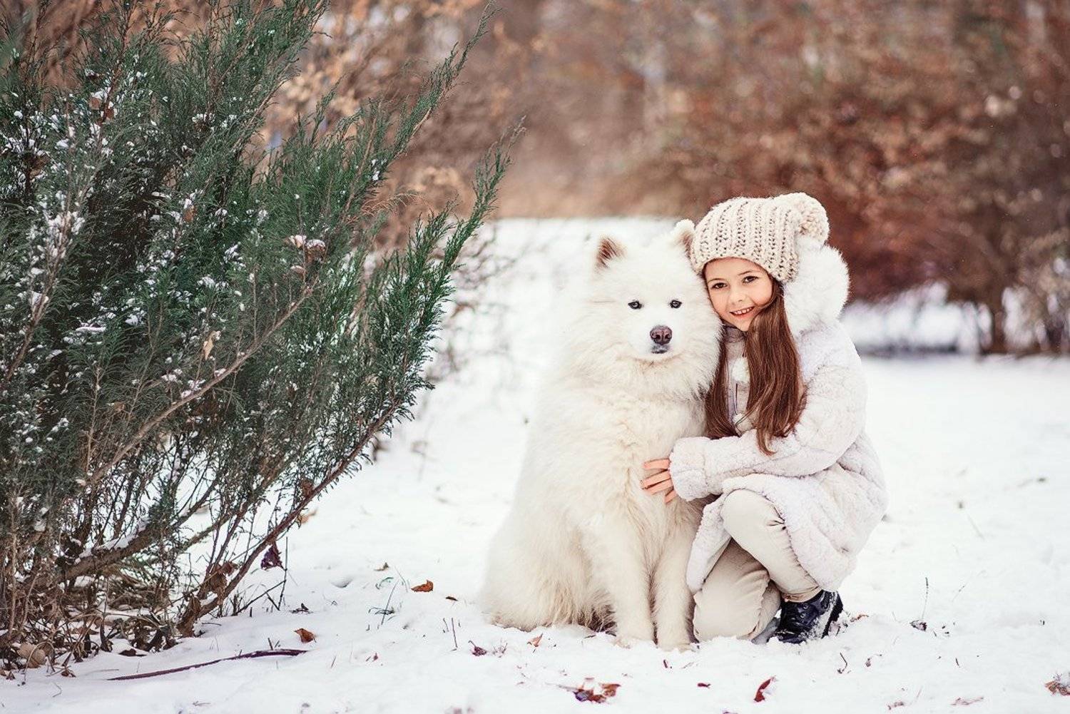 зима, winter, дети, питомец, друзья, самоед, детство, зимняя фотосессия, детская фотосессия, детская фотография, children photography, children, детство, семейная фотосессия, дети модели, дети модели москва, nikon, nikkor, 85 mm, d610, nikon d610, Шулина Ольга
