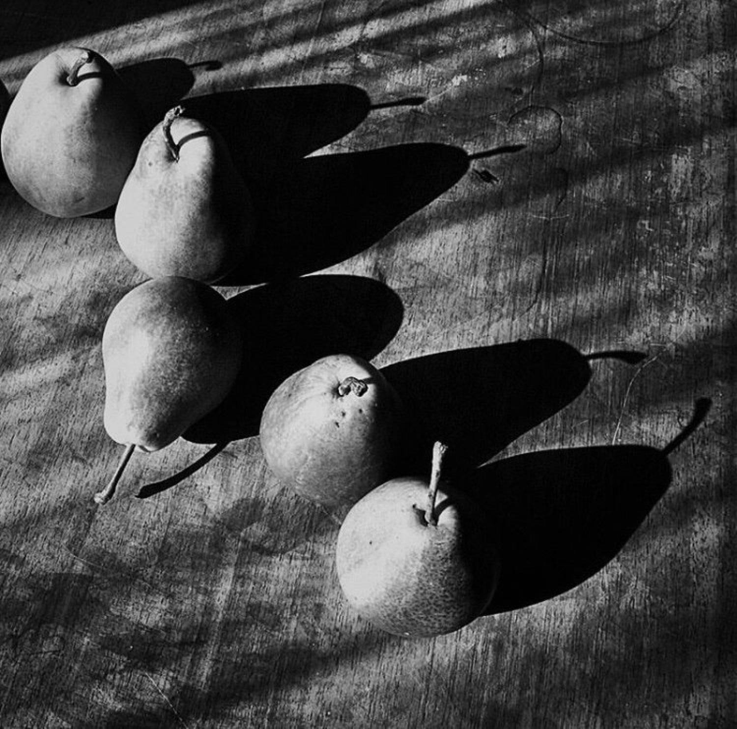 b/w, still life, Inga Ivanova