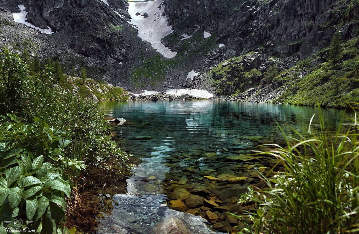 , Ольга Шацкая