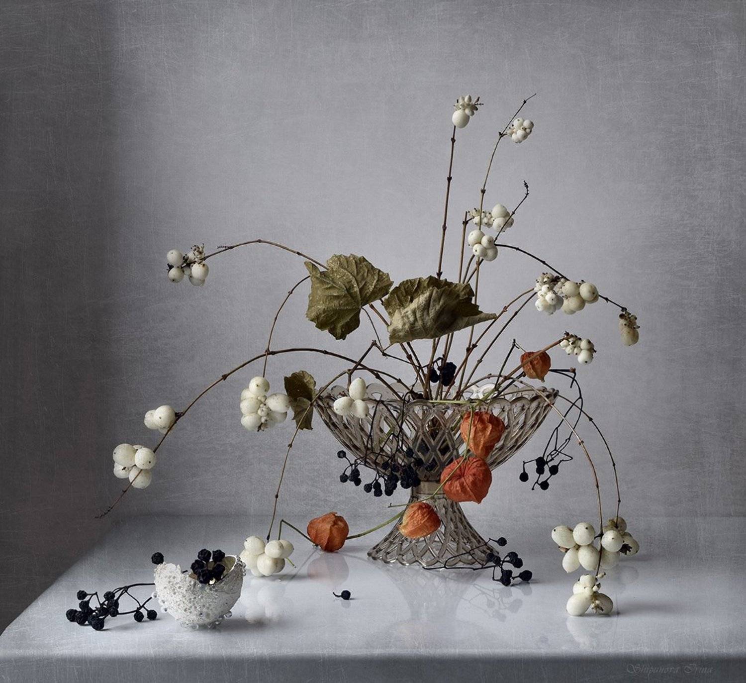 , Шипунова Ирина