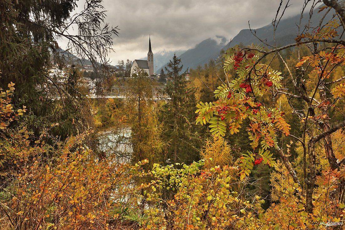 swiss, Матвеев Николай