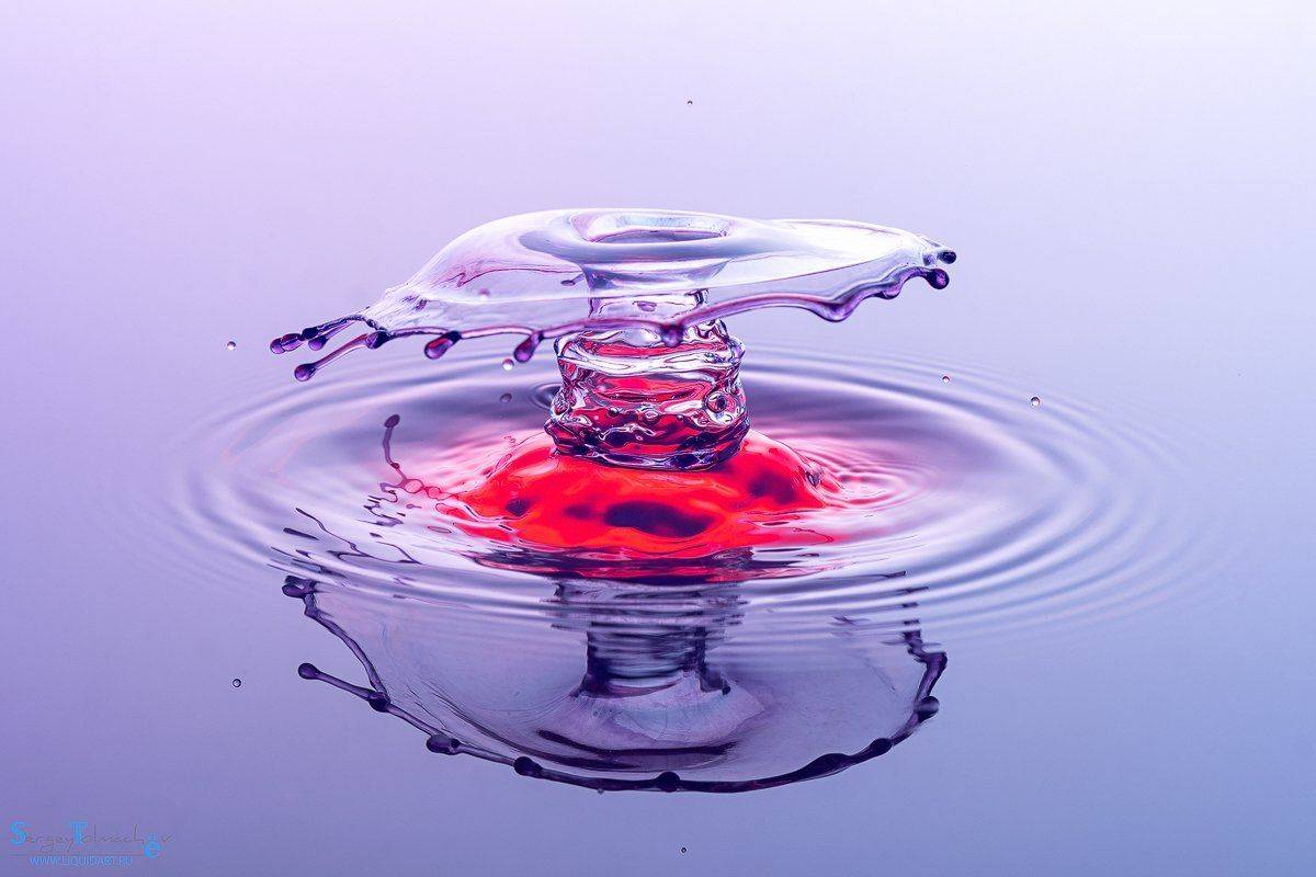 вода, капли, жидкость, макро, арт, liquid, liquidart, splash, drop,, Сергей Толмачев