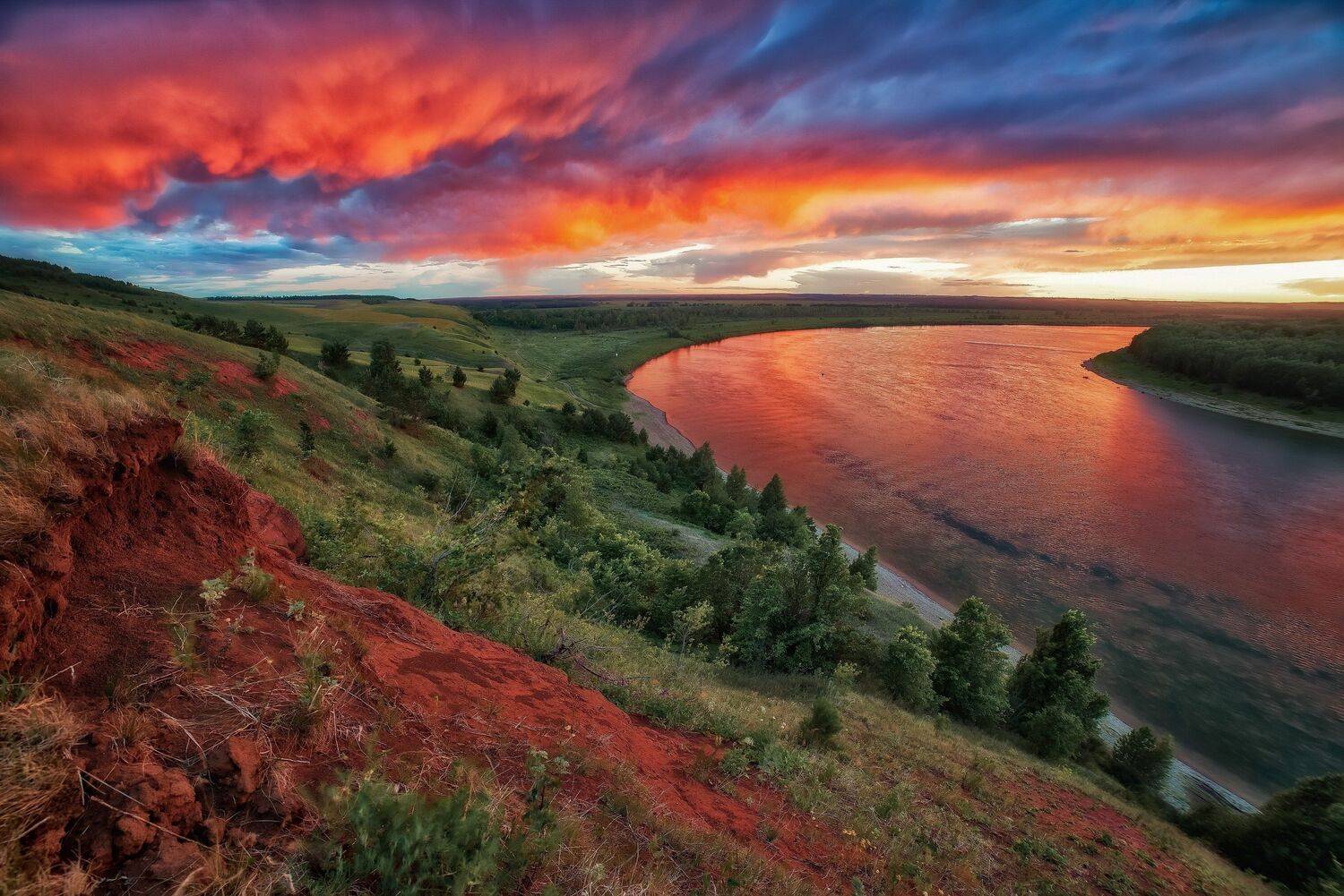 , Алексей Никитин