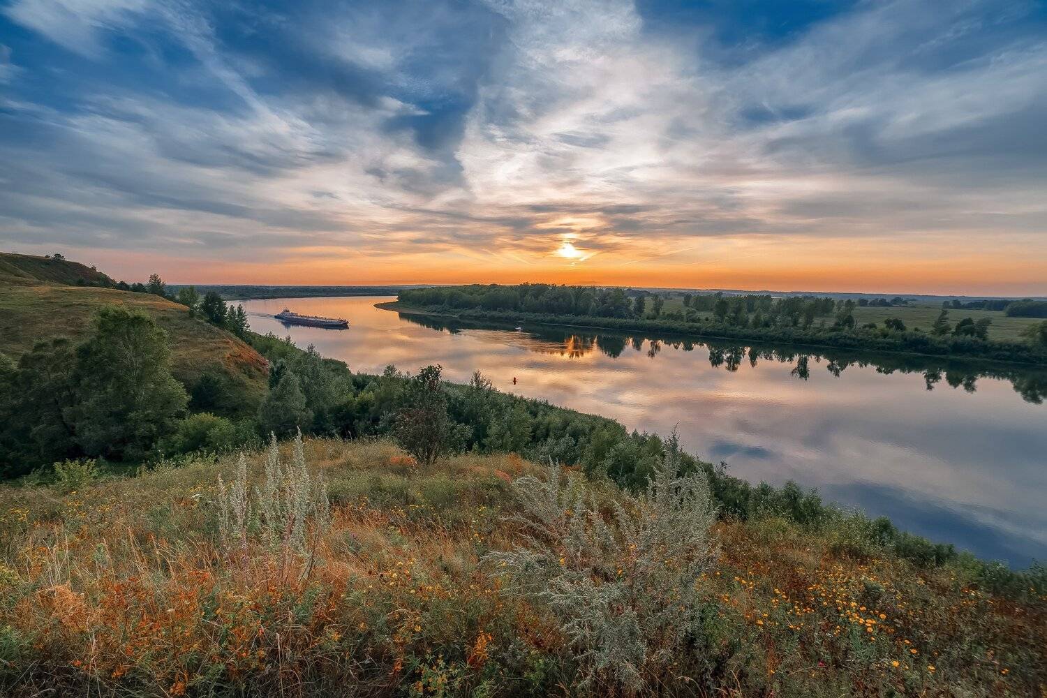 , Алексей Никитин