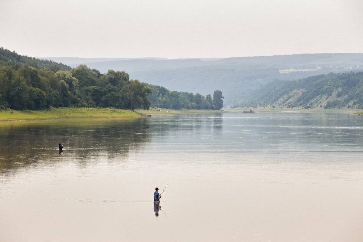 , Вейзе Максим