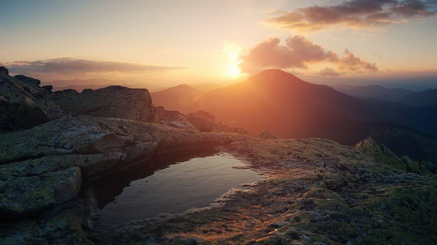 , Денис Кривой