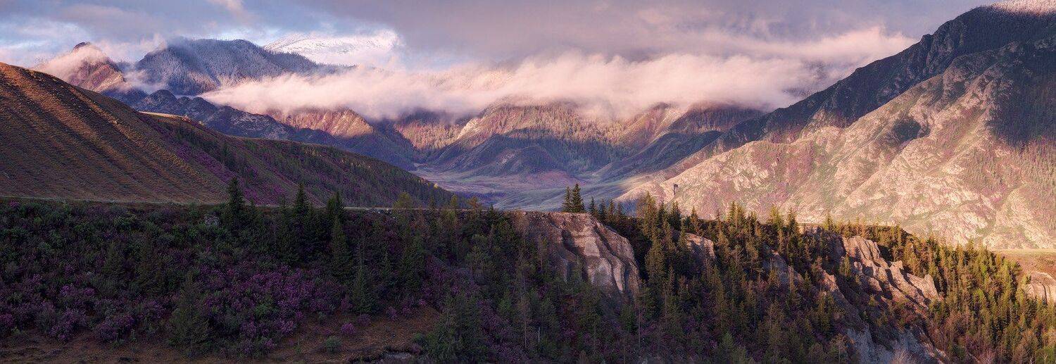 , Лещёнок Александр