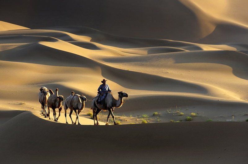 Desert фото превью