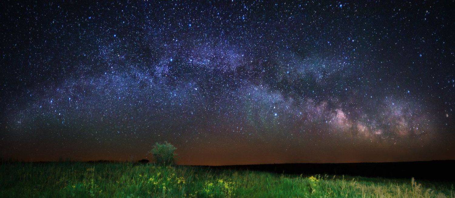 , Денис Кривой