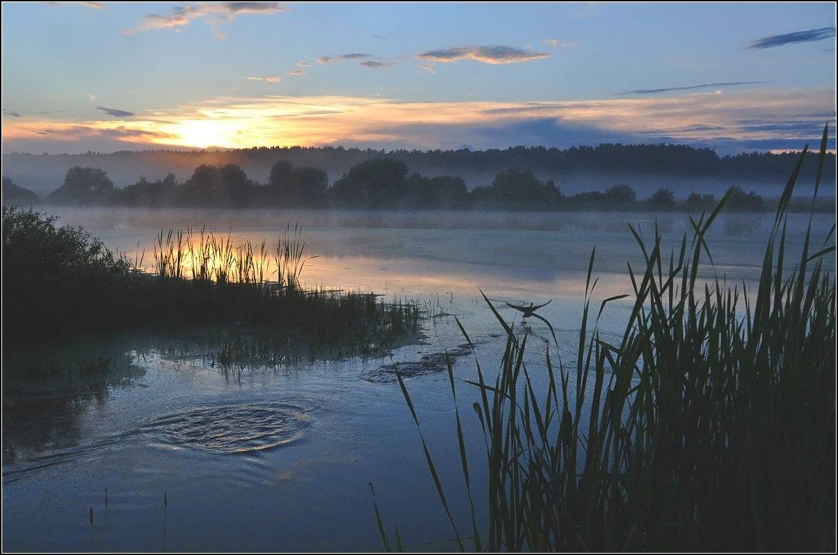 подмосковье, АНАТОЛИЙ ДОВЫДЕНКО