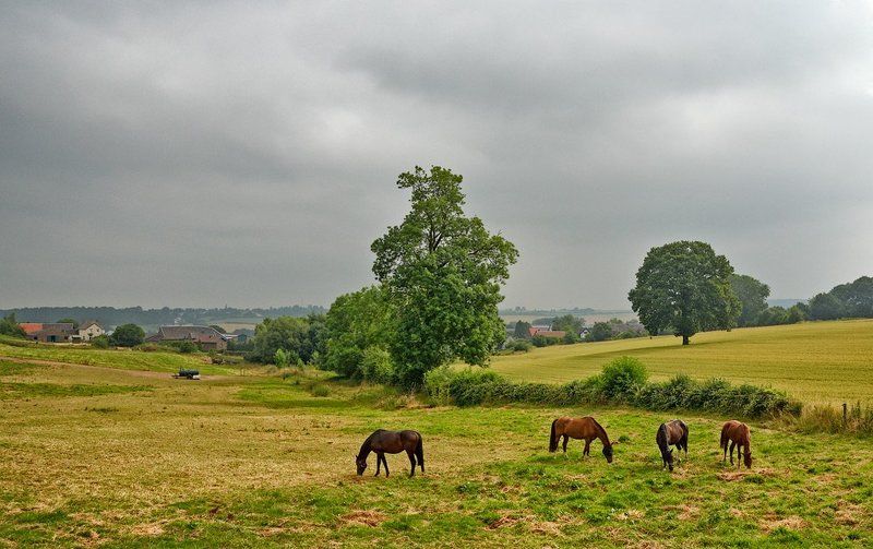 Пасмурный день фото превью