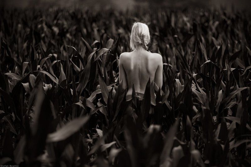 sky is the limit фото превью