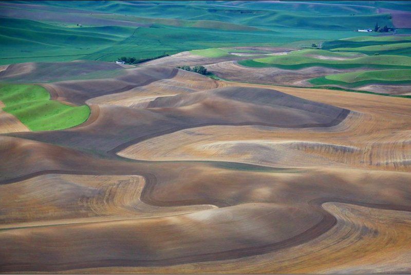 Field фото превью