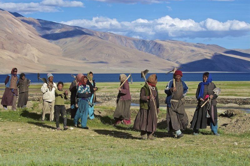 А впереди еще домашние хлопоты…. фото превью