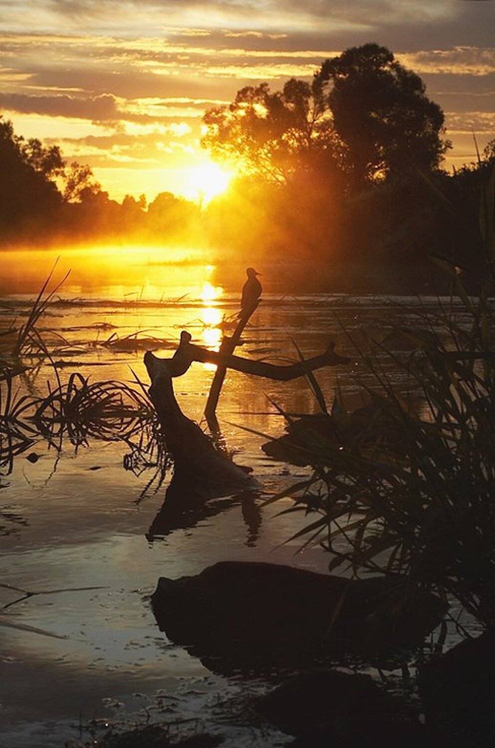 , Михаил Агеев