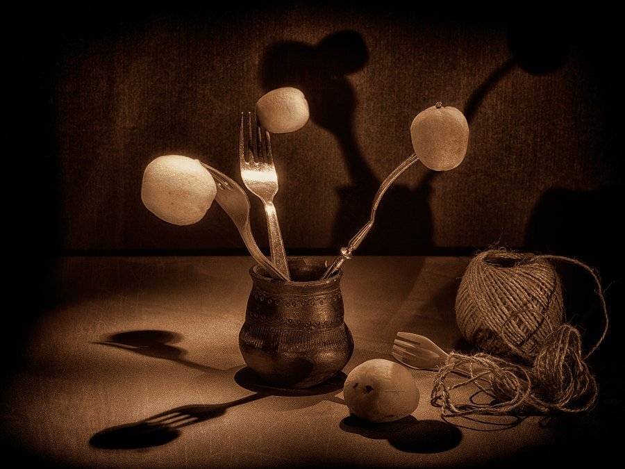 , Николай Ляпин