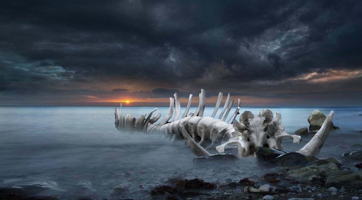 Digital manipulation, Fantasy, Emilis Baltrusaitis