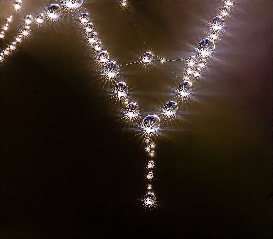 , Бурлов Андрей