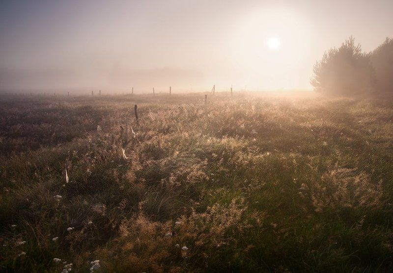 morning фото превью