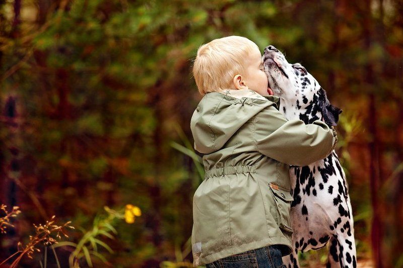 Сбылась мечта собаки. фото превью
