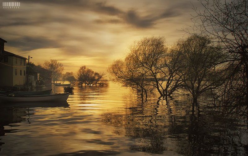 * Veda .... * фото превью