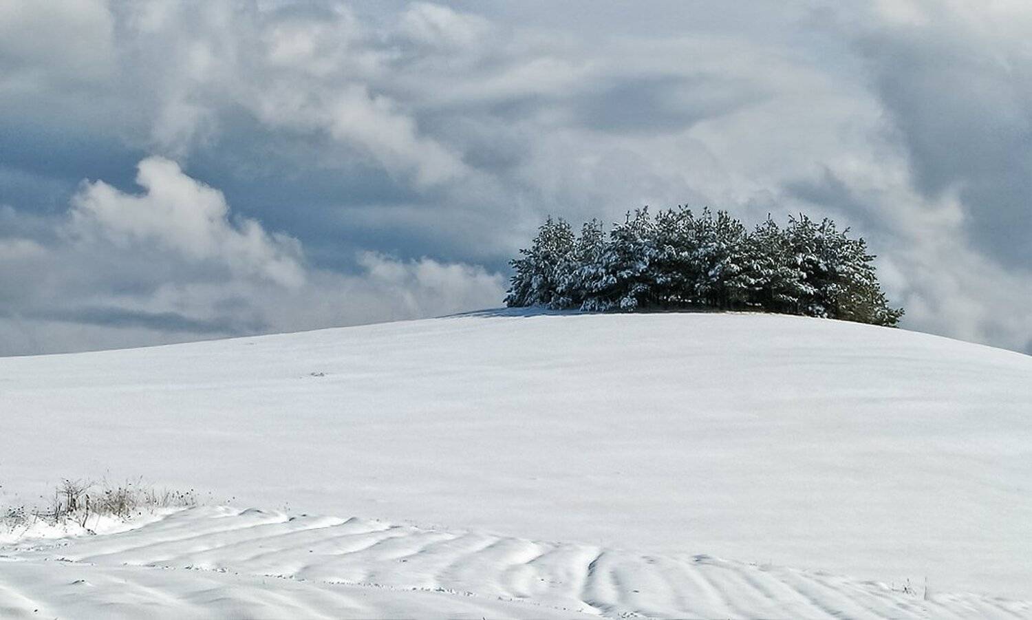 , Ирина Костова