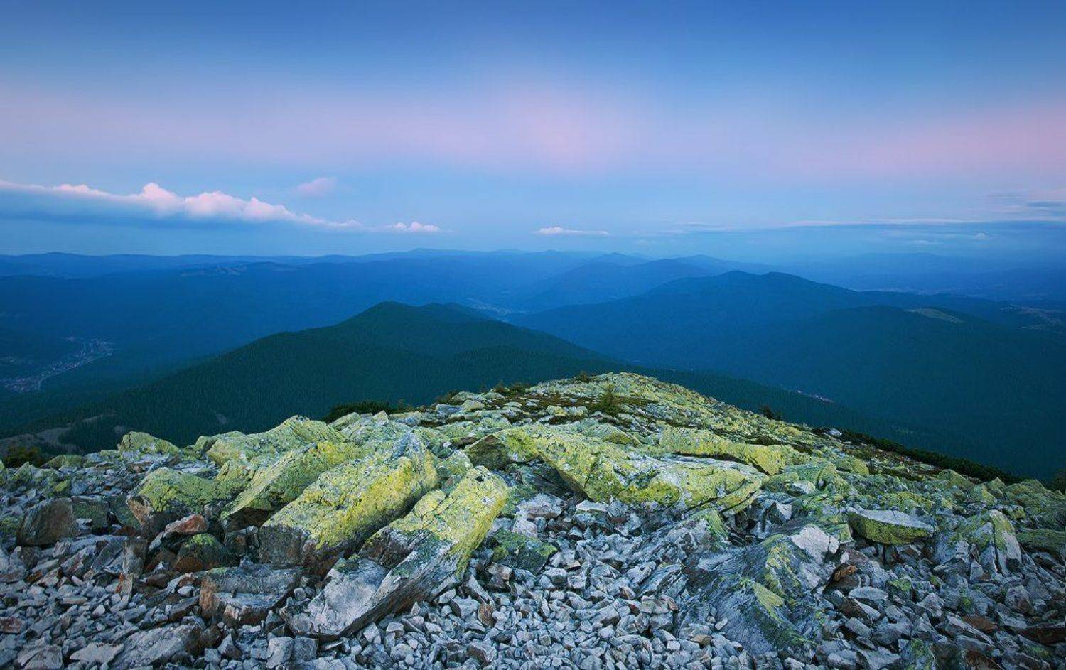 , Денис Кривой