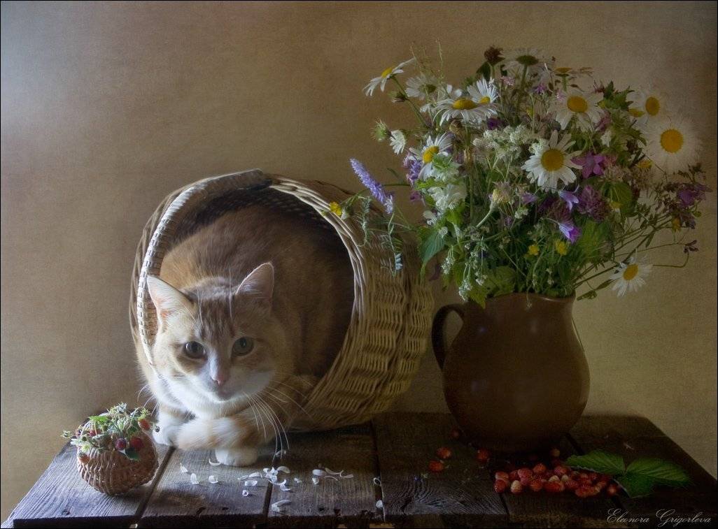 , Eleonora Grigorjeva