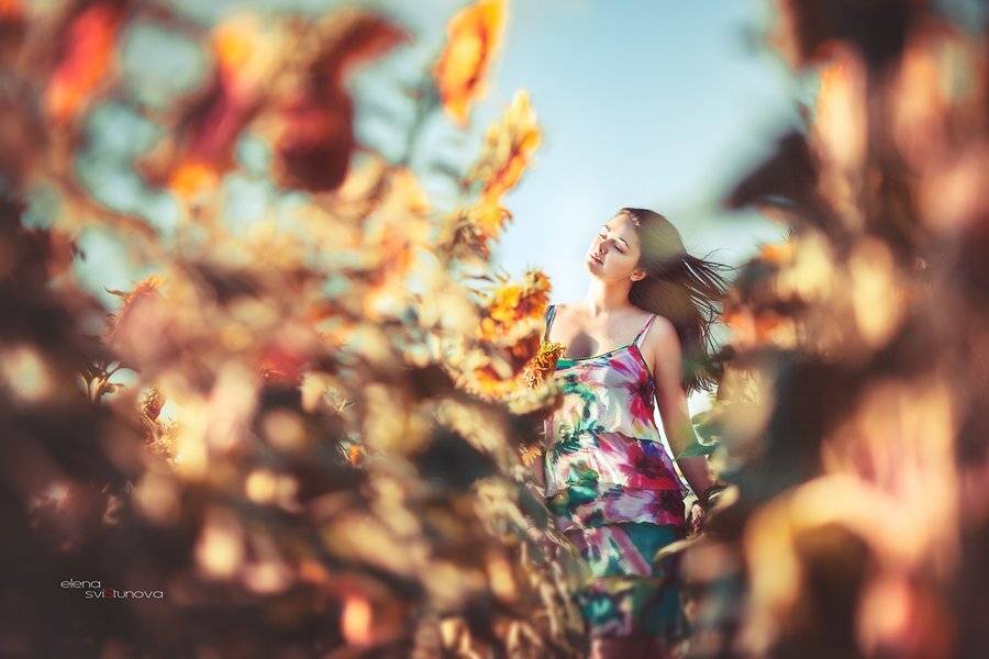 Девушка, Пленер, Подсолнухи, Портрет, Фотосессия, Свистунова Елена
